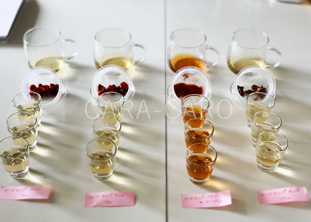 メディカルハーブティ「抽出時間や用量を変えての飲み比べ」