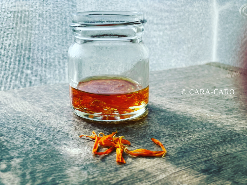 植物成分抽出「インフューズドオイル」