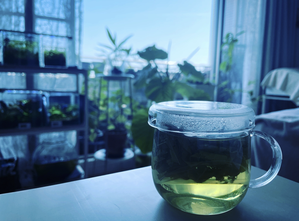 植物成分抽出「水溶性成分を抽出する浸剤」