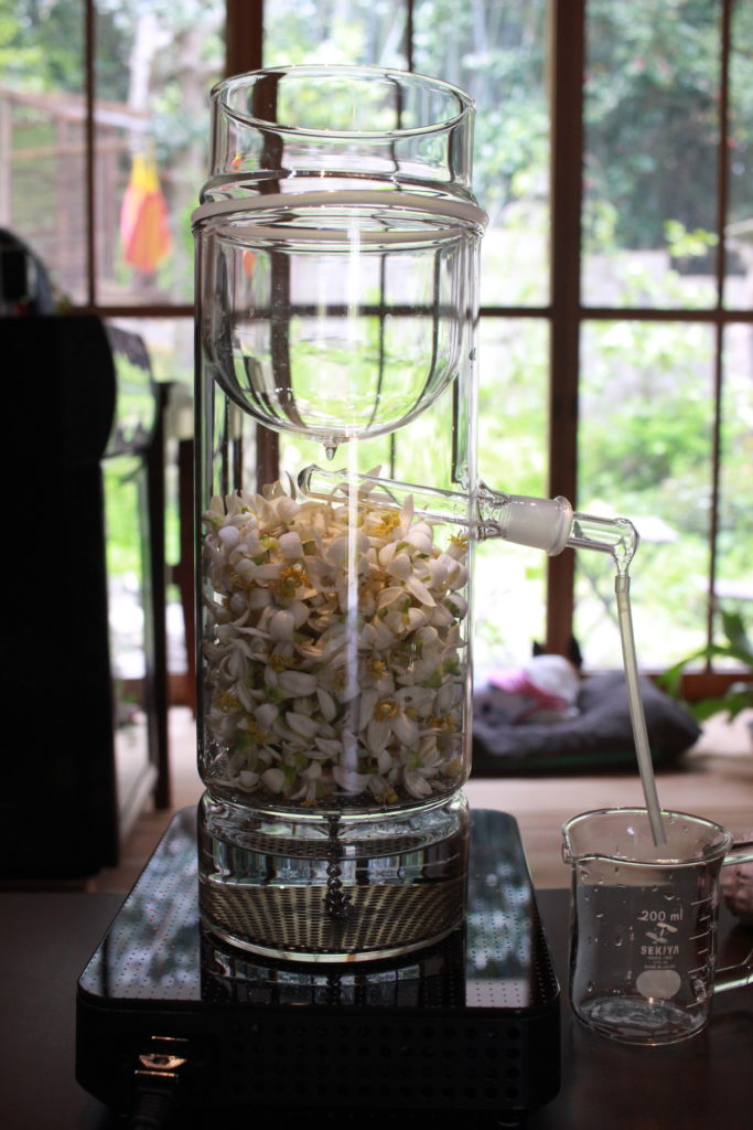 植物成分抽出「蒸留」