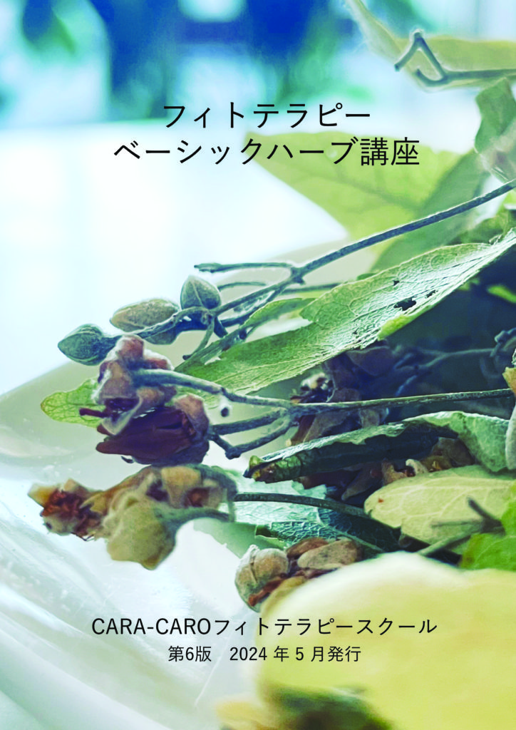 フィトテラピー ベーシックハーブ講座 CARA-CAROフィトテラピースクール発行冊子 表紙イメージ画像