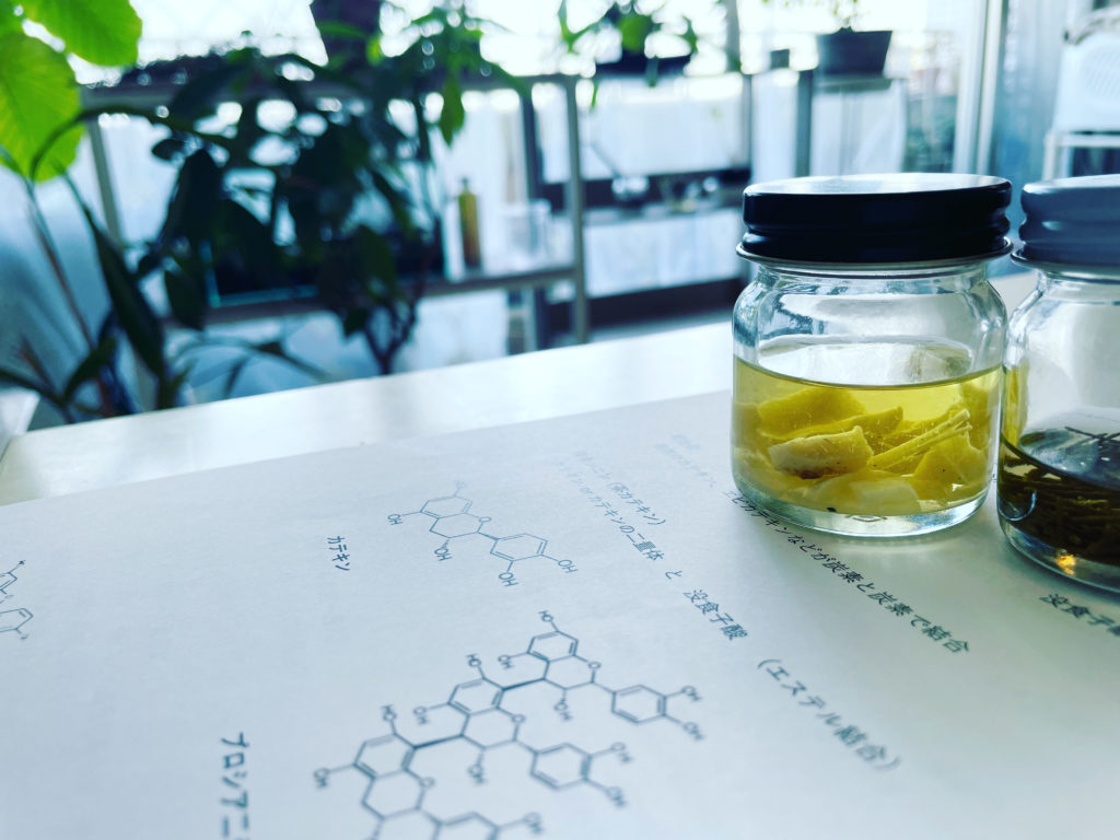 植物成分抽出「講師として、知っておくべき抽出のメカニズム・化学」