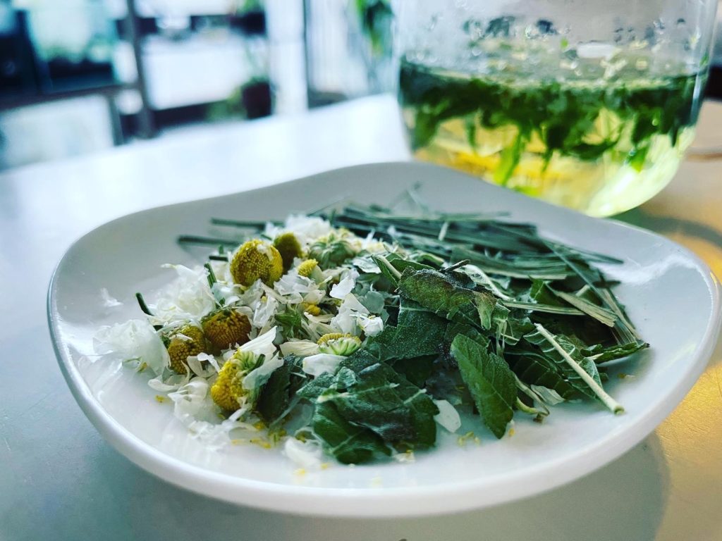 メディカルハーブティ「伝統的な処方」