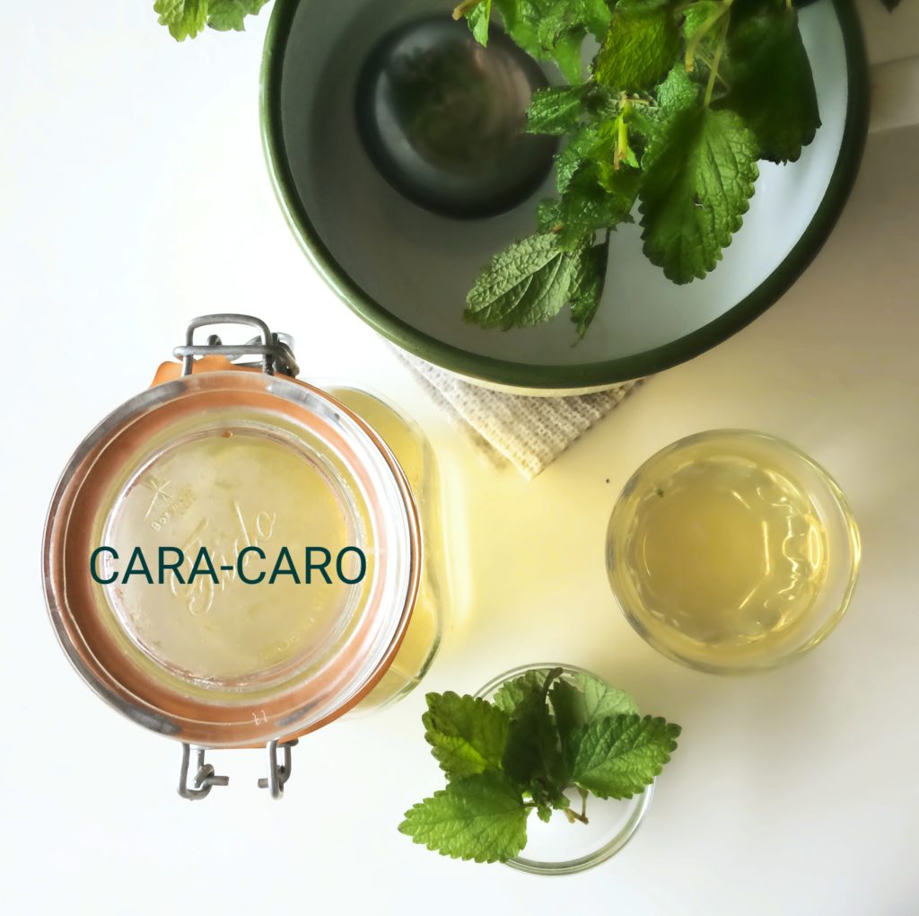 メディカルハーブティ「フレッシュハーブの活用やアレンジレシピ」