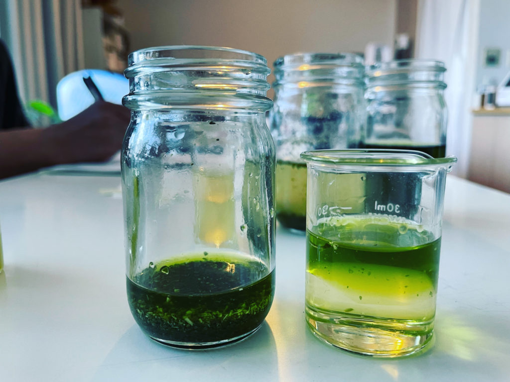 植物成分抽出「色味香りの感覚、こころや体の反応など」