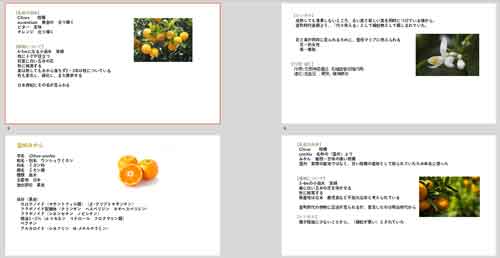 【無料オンライン講座】ビターオレンジと温州みかん　※終了しました